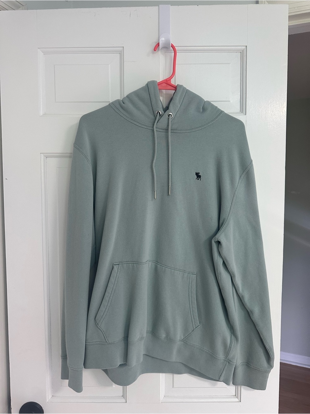 Light greenish turquoise Abercrombie and fitch large hoodie